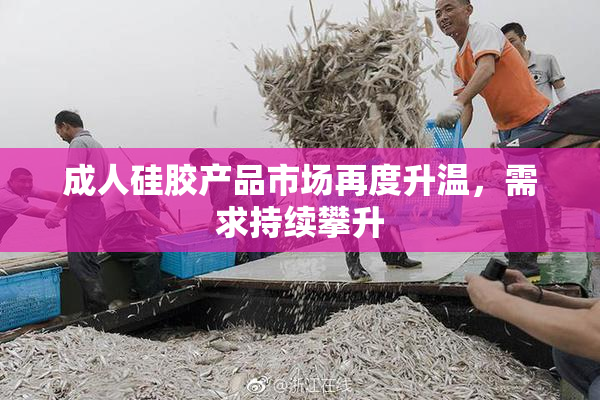 成人硅胶产品市场再度升温，需求持续攀升
