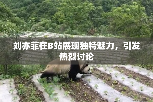刘亦菲在B站展现独特魅力，引发热烈讨论