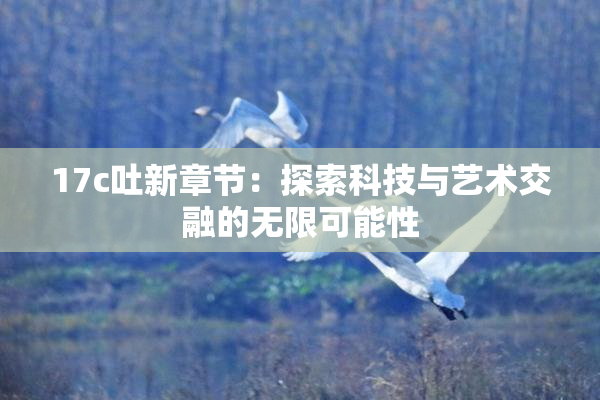 17c吐新章节：探索科技与艺术交融的无限可能性