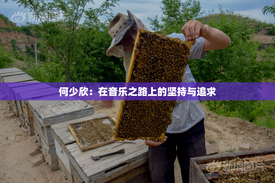 何少欣：在音乐之路上的坚持与追求