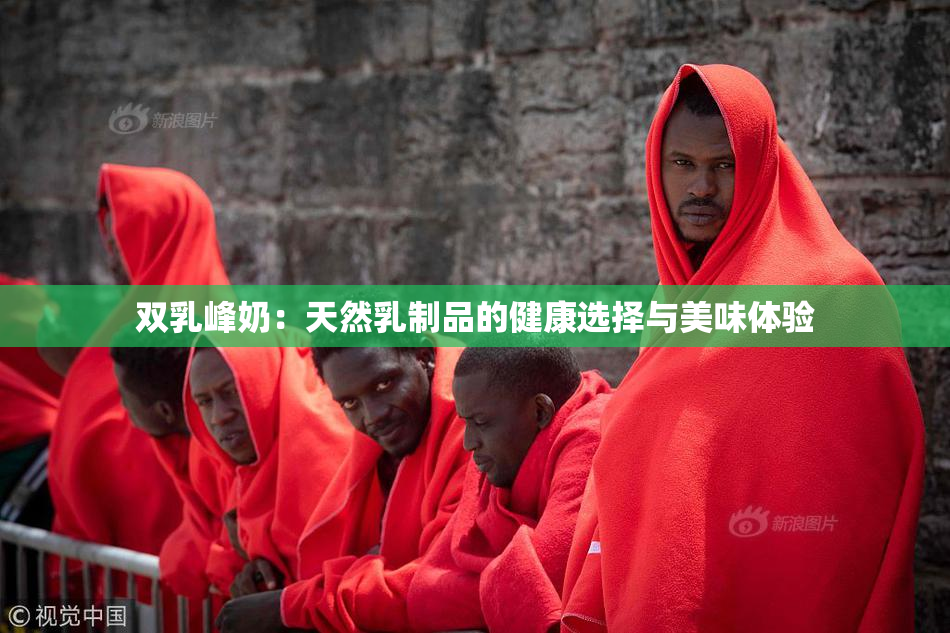 双乳峰奶：天然乳制品的健康选择与美味体验