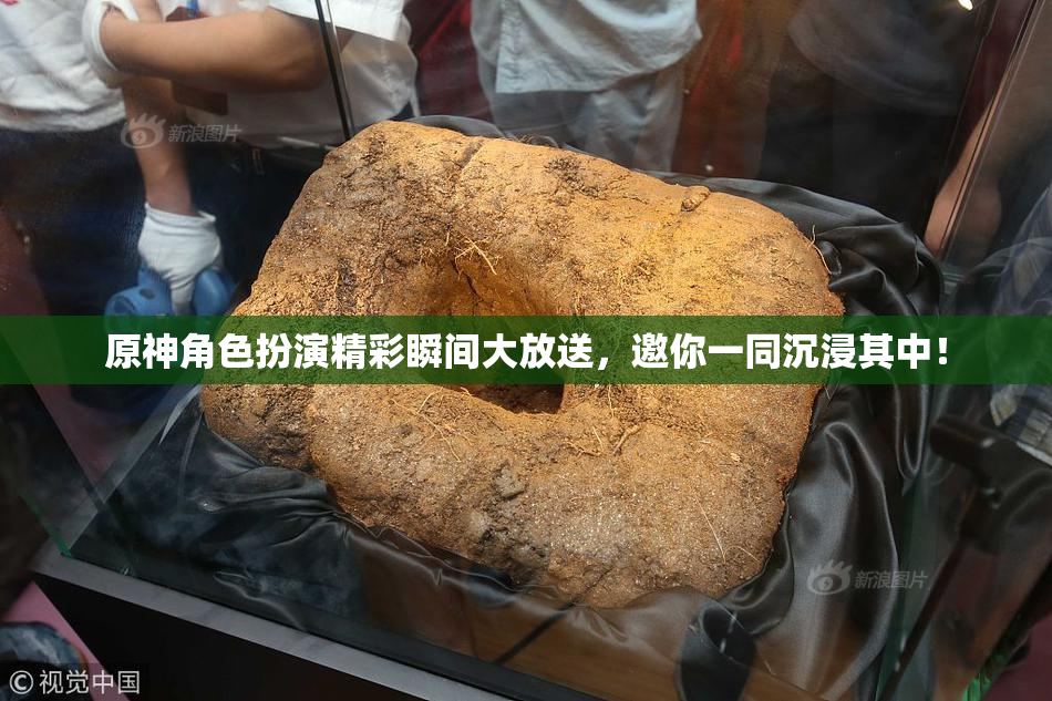 原神角色扮演精彩瞬间大放送，邀你一同沉浸其中！