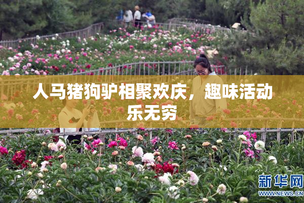 人马猪狗驴相聚欢庆，趣味活动乐无穷