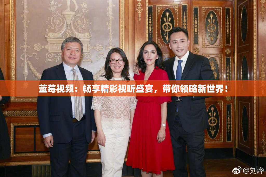 蓝莓视频：畅享精彩视听盛宴，带你领略新世界！