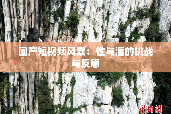 国产短视频风暴：性与淫的挑战与反思