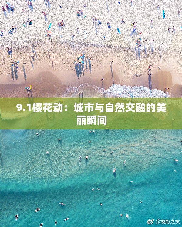 9.1樱花动：城市与自然交融的美丽瞬间