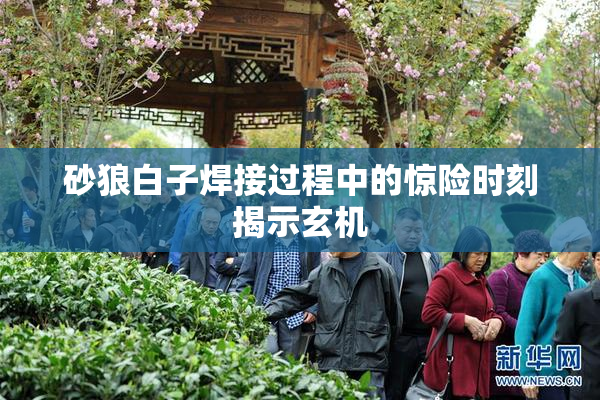 砂狼白子焊接过程中的惊险时刻揭示玄机