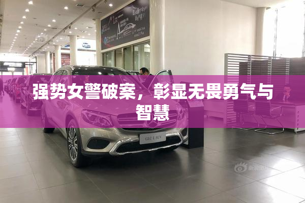 强势女警破案，彰显无畏勇气与智慧