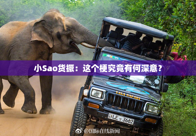 小Sao货撅：这个梗究竟有何深意？