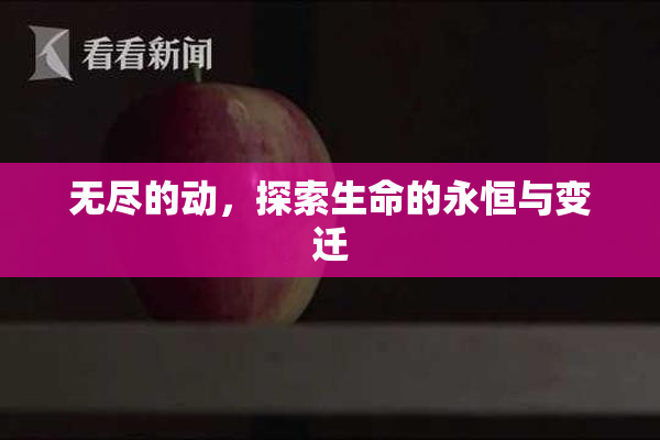 无尽的动，探索生命的永恒与变迁