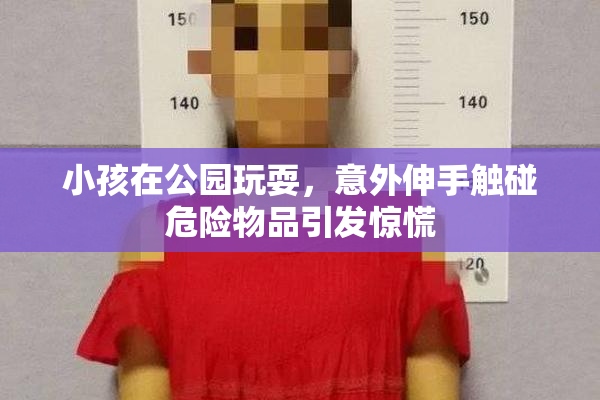 小孩在公园玩耍，意外伸手触碰危险物品引发惊慌