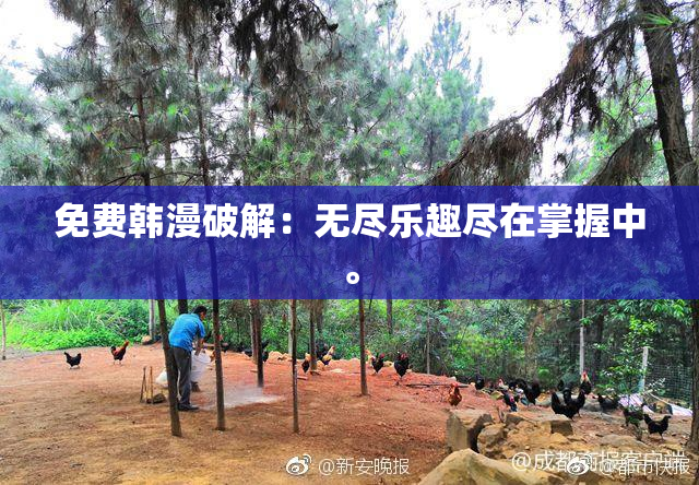 免费韩漫破解：无尽乐趣尽在掌握中。
