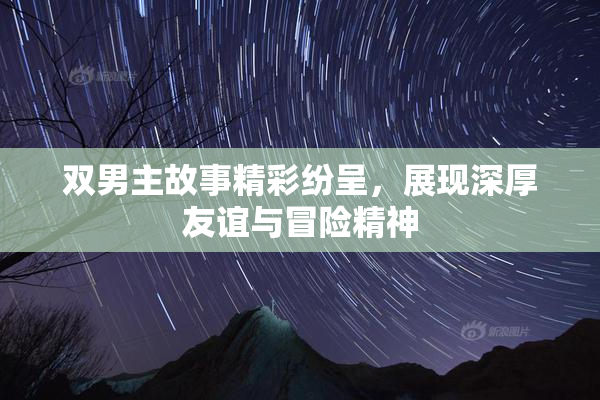 双男主故事精彩纷呈，展现深厚友谊与冒险精神