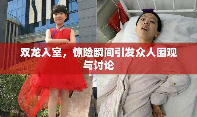 双龙入室，惊险瞬间引发众人围观与讨论
