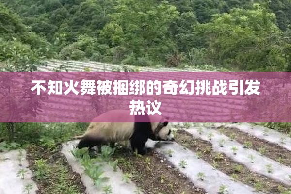 不知火舞被捆绑的奇幻挑战引发热议