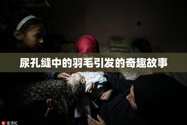 尿孔缝中的羽毛引发的奇趣故事