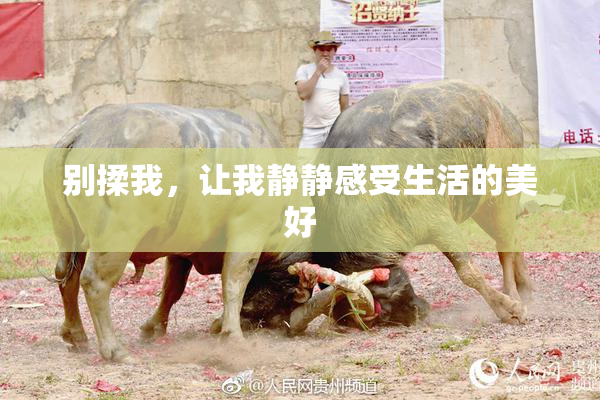 别揉我，让我静静感受生活的美好