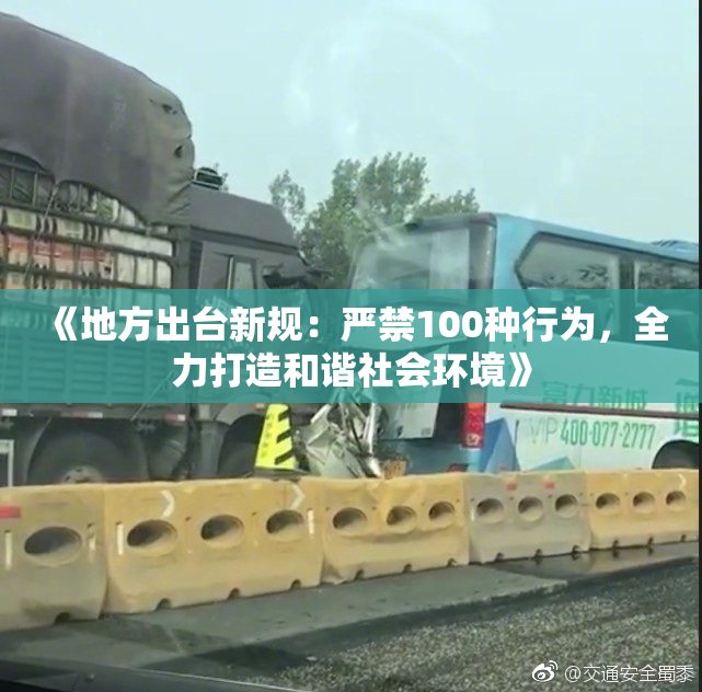 《地方出台新规：严禁100种行为，全力打造和谐社会环境》