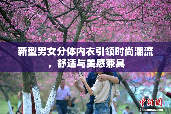 新型男女分体内衣引领时尚潮流，舒适与美感兼具