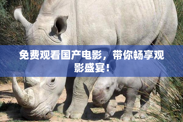 免费观看国产电影，带你畅享观影盛宴！