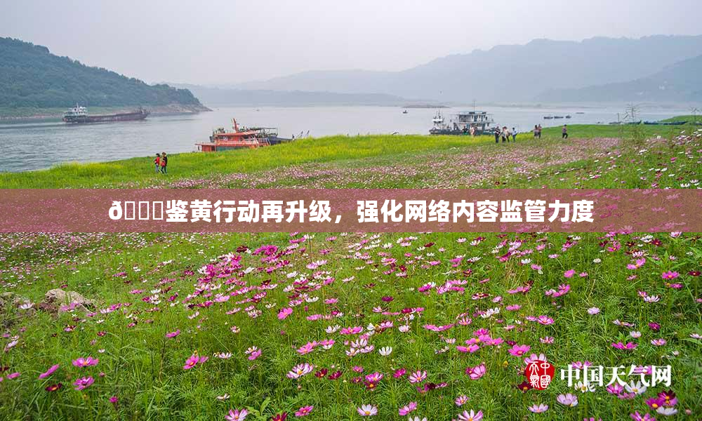 🔞鉴黄行动再升级，强化网络内容监管力度