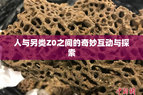人与另类Z0之间的奇妙互动与探索
