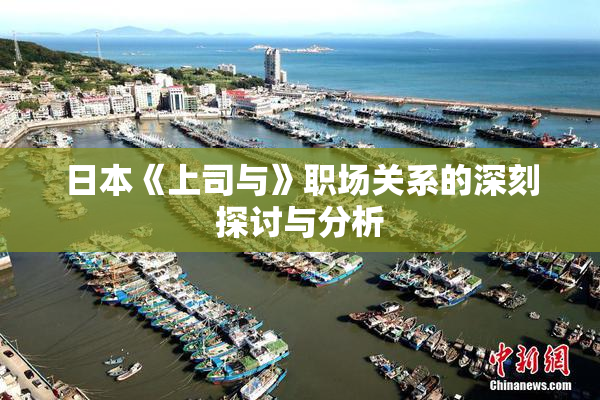 日本《上司与》职场关系的深刻探讨与分析
