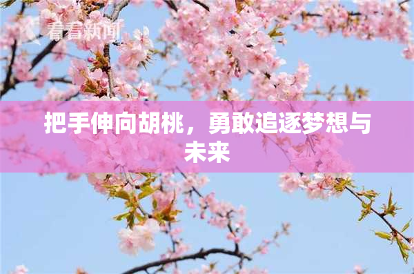 把手伸向胡桃，勇敢追逐梦想与未来