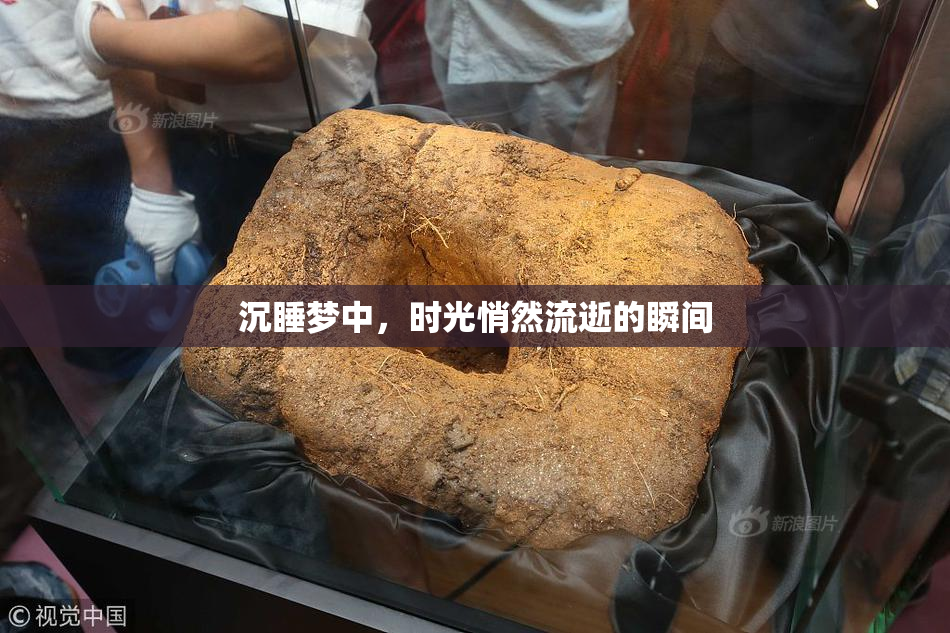 沉睡梦中，时光悄然流逝的瞬间