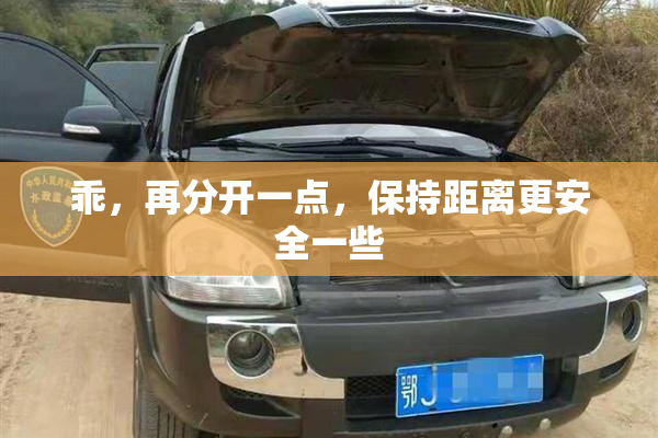 乖，再分开一点，保持距离更安全一些