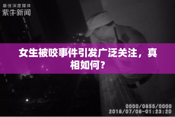 女生被咬事件引发广泛关注，真相如何？