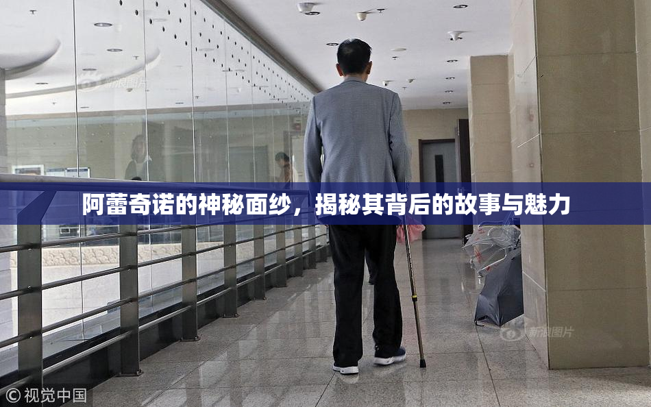 阿蕾奇诺的神秘面纱，揭秘其背后的故事与魅力