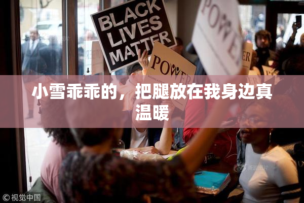 小雪乖乖的，把腿放在我身边真温暖