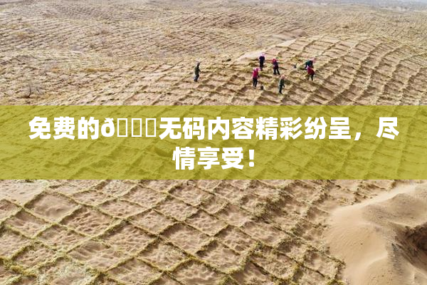 免费的🔞无码内容精彩纷呈，尽情享受！