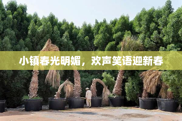 小镇春光明媚，欢声笑语迎新春