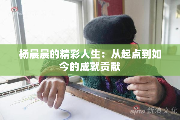 杨晨晨的精彩人生：从起点到如今的成就贡献