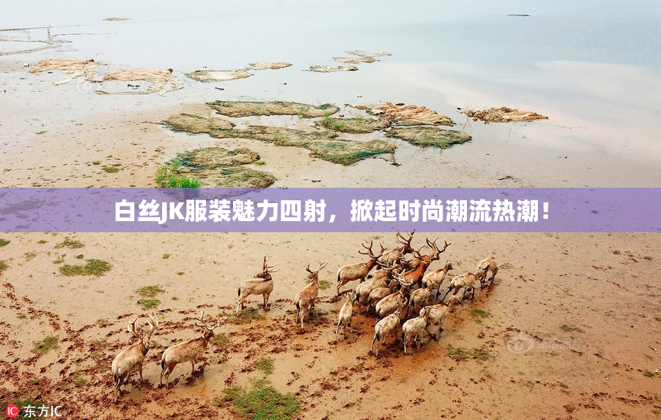 白丝JK服装魅力四射，掀起时尚潮流热潮！