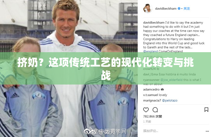 挤奶？这项传统工艺的现代化转变与挑战