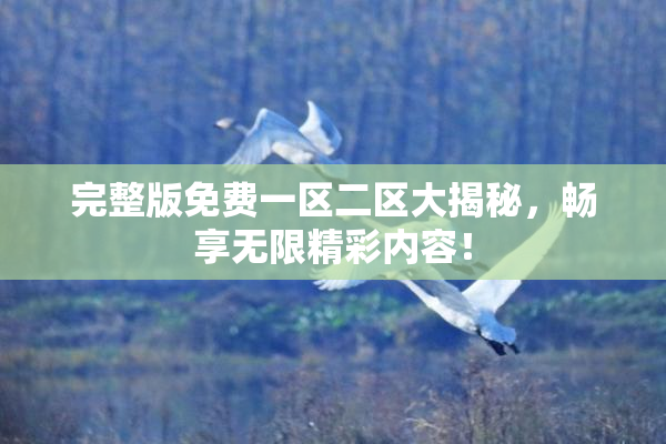 完整版免费一区二区大揭秘，畅享无限精彩内容！