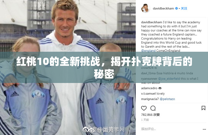 红桃10的全新挑战，揭开扑克牌背后的秘密