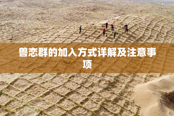 兽恋群的加入方式详解及注意事项