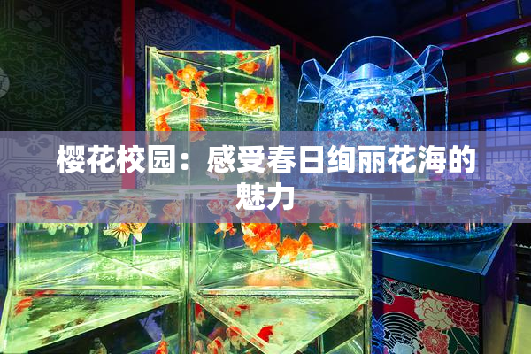 樱花校园：感受春日绚丽花海的魅力