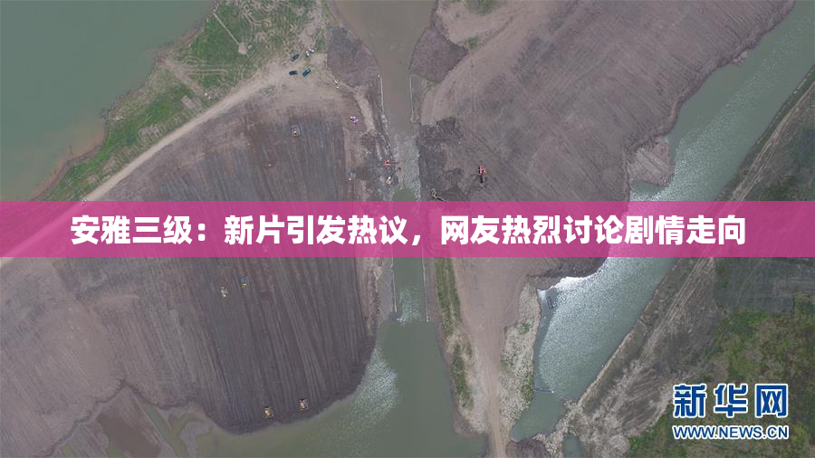 安雅三级：新片引发热议，网友热烈讨论剧情走向