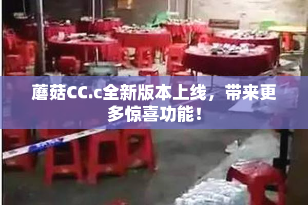 蘑菇CC.c全新版本上线，带来更多惊喜功能！