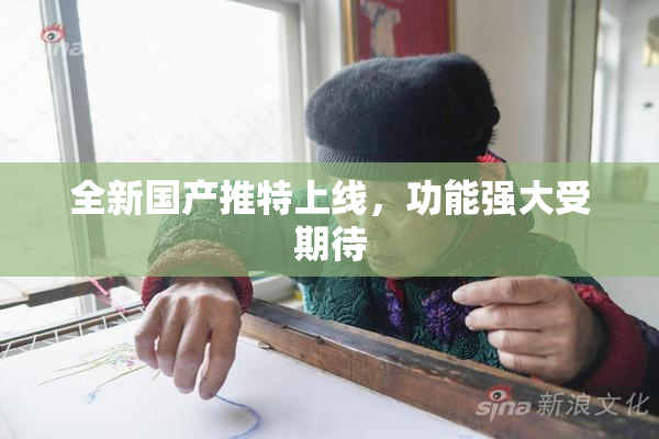 全新国产推特上线，功能强大受期待