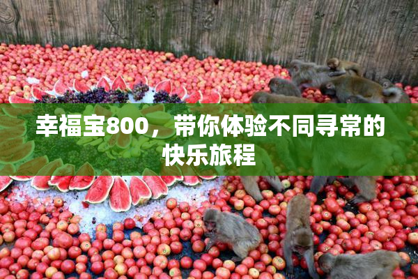 幸福宝800，带你体验不同寻常的快乐旅程