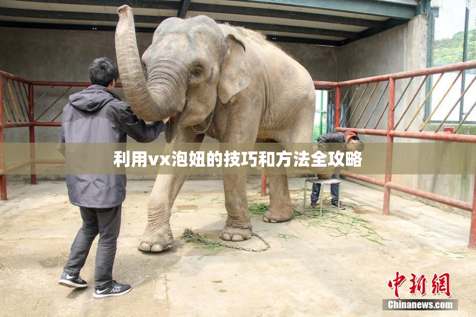 利用vx泡妞的技巧和方法全攻略