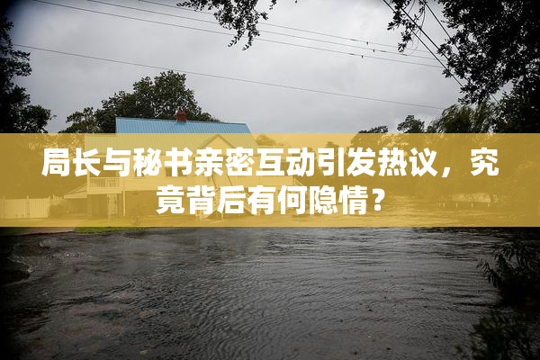 局长与秘书亲密互动引发热议，究竟背后有何隐情？