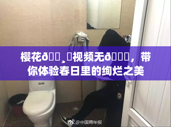 樱花🌸‌视频无🈚，带你体验春日里的绚烂之美