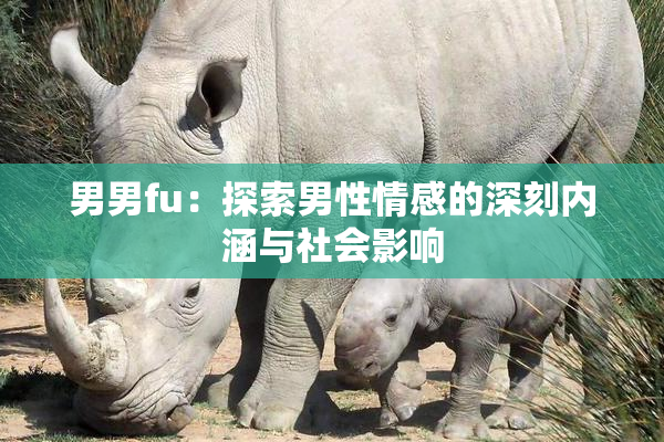 男男fu：探索男性情感的深刻内涵与社会影响